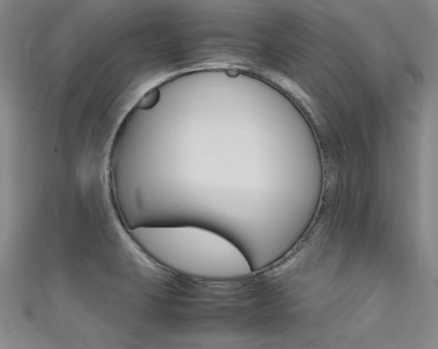 X0000111491423200907141054