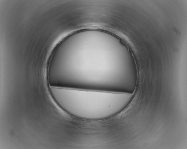 X0000111491424200907141054