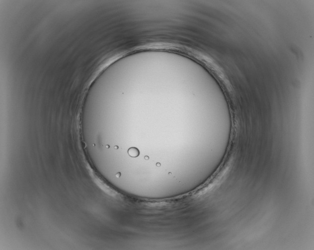 X0000111491425200907141054