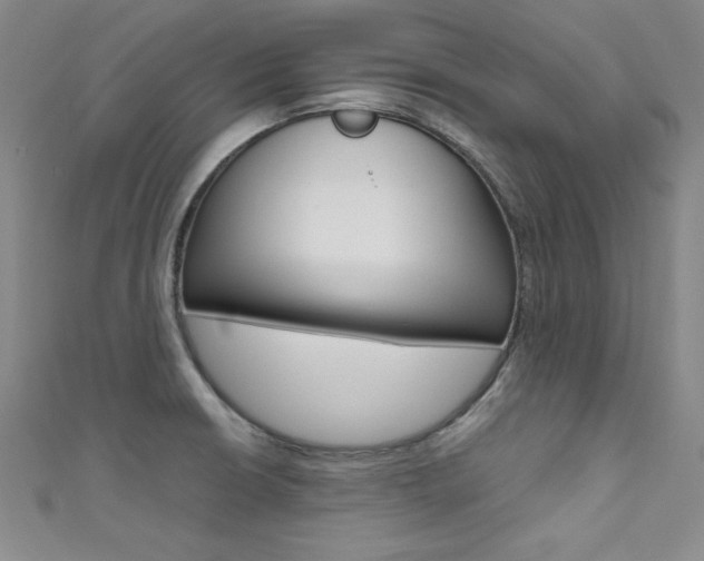 X0000111491426200907141054