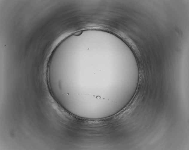 X0000111491427200907141054