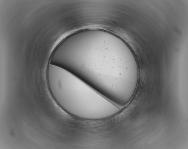 X0000111491428200907141054