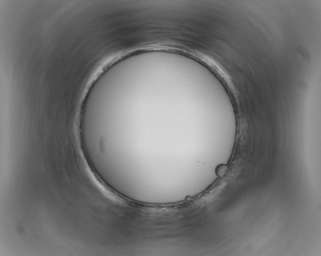 X0000111491429200907141054