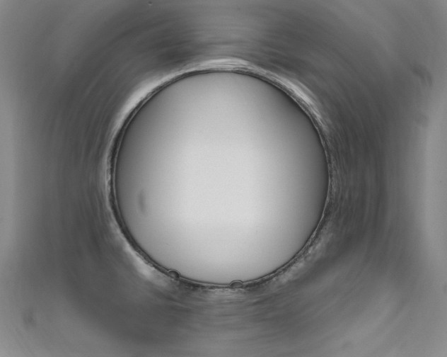X0000111491430200907141054
