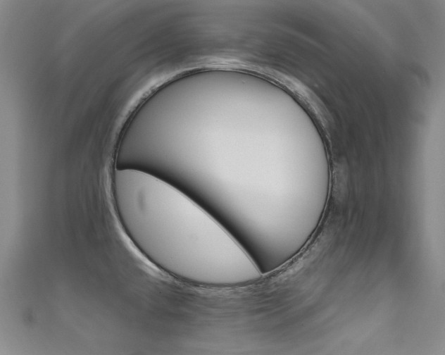 X0000111491432200907141054
