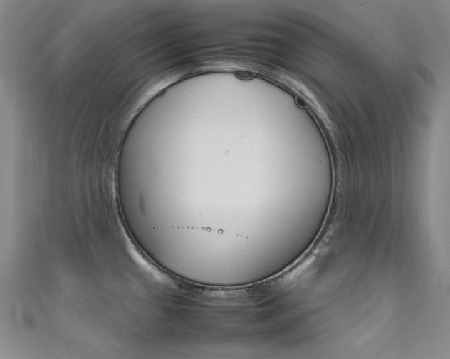 X0000111491433200907141054