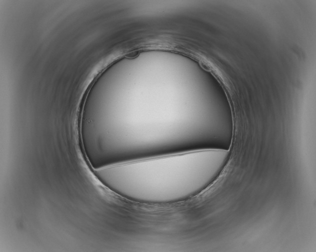X0000111491434200907141054