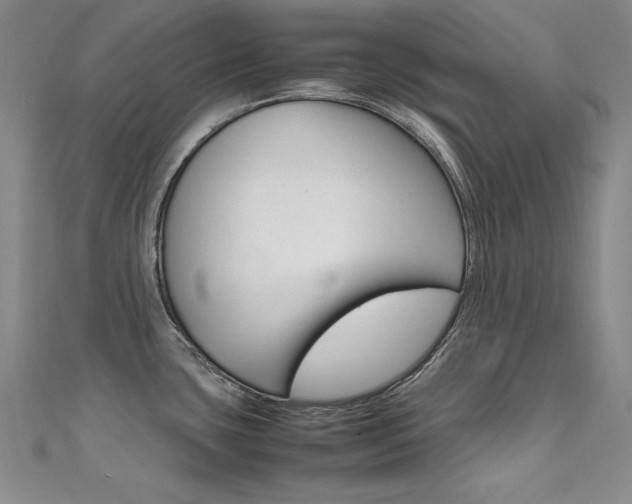 X0000111491435200907141054