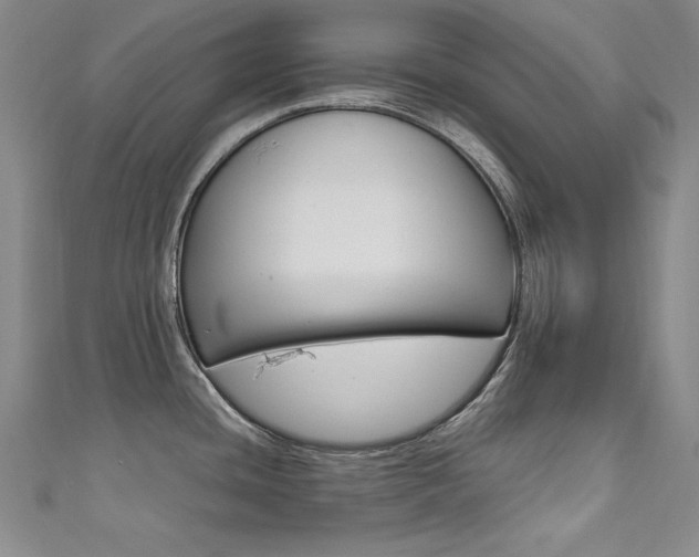 X0000111491436200907141054