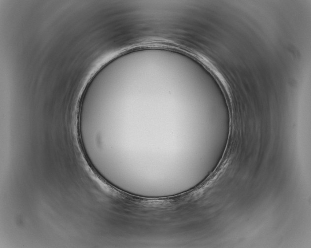 X0000111491437200907141054