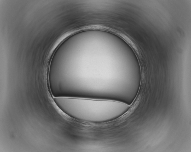 X0000111491438200907141054