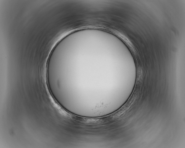 X0000111491439200907141054