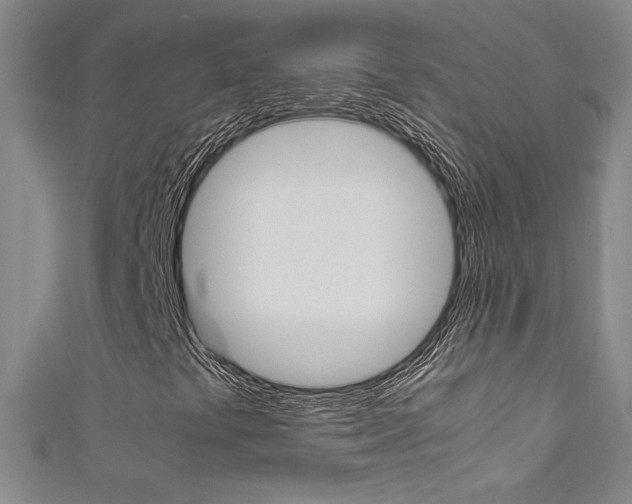 X0000111491441200907141054