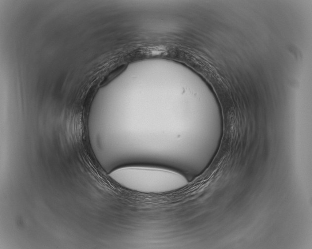 X0000111491442200907141054