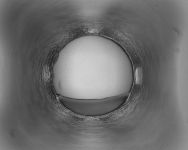 X0000111491443200907141054