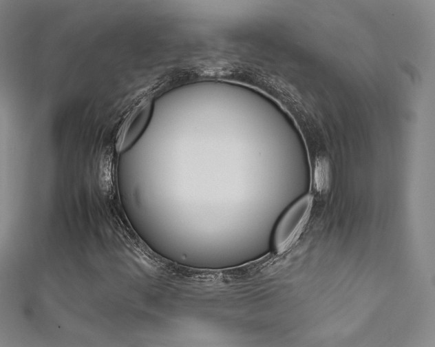 X0000111491444200907141054