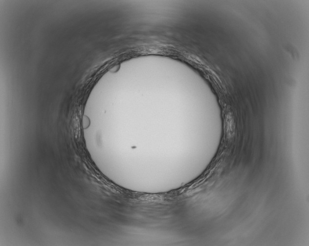 X0000111491446200907141054