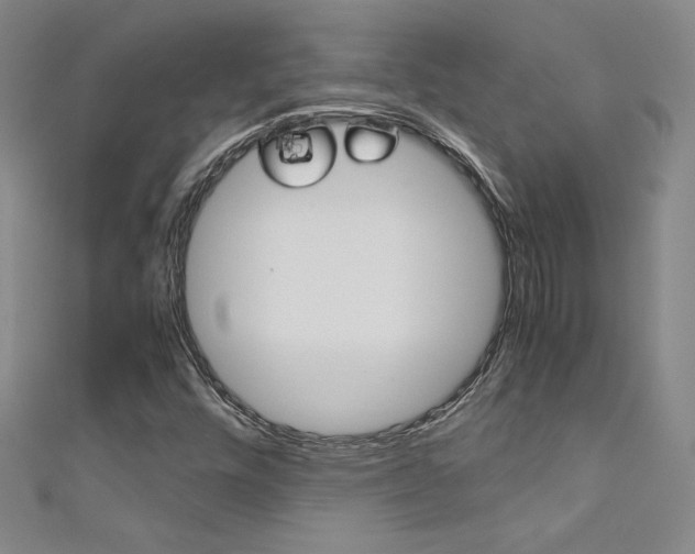 X0000111491448200907141054