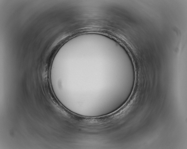 X0000111491450200907141054