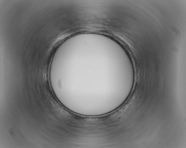 X0000111491451200907141053