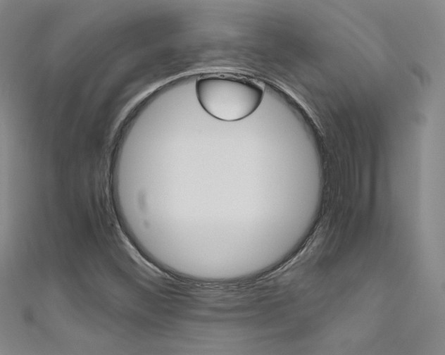 X0000111491452200907141053