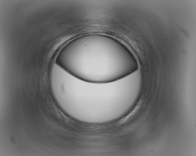 X0000111491453200907141053