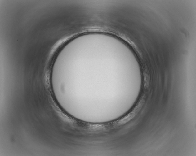 X0000111491454200907141053