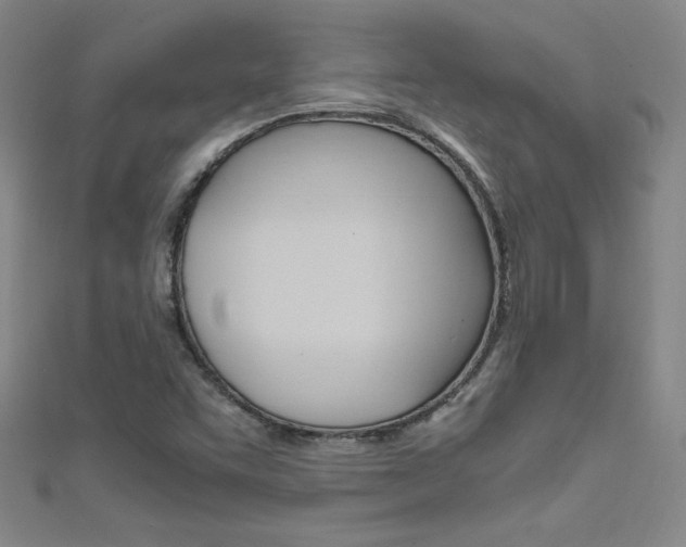 X0000111491455200907141053