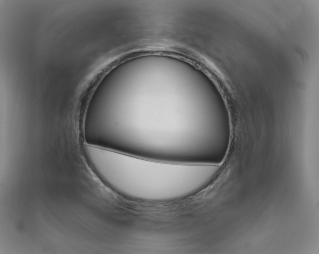 X0000111491456200907141053
