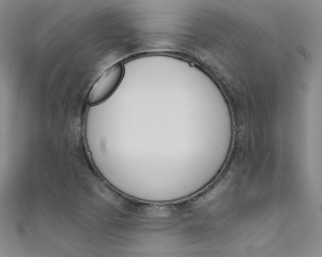 X0000111491457200907141053