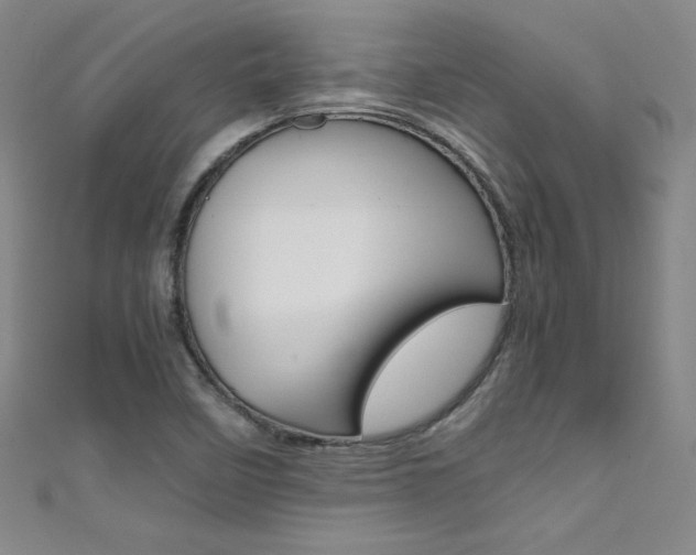 X0000111491458200907141053