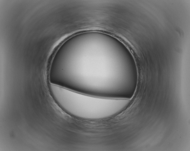 X0000111491460200907141053