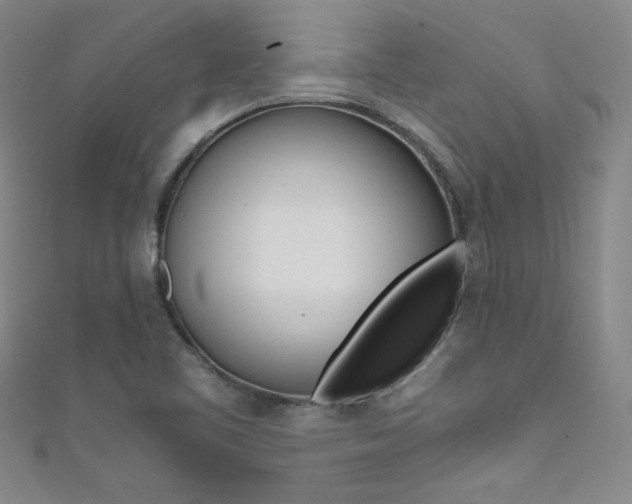 X0000111491461200907141053