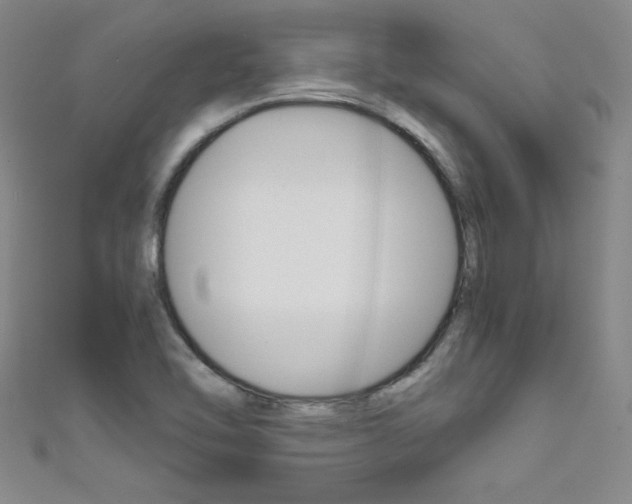 X0000111491462200907141053
