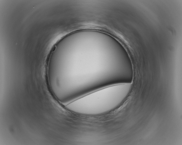 X0000111491463200907141053