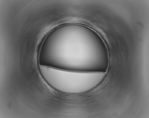 X0000111491464200907141053