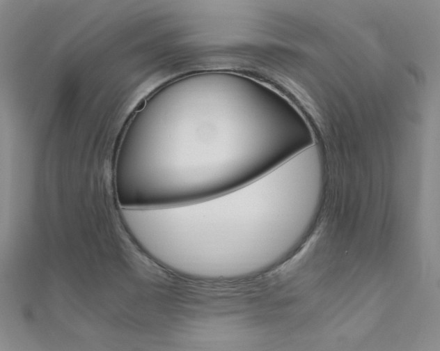 X0000111491465200907141053