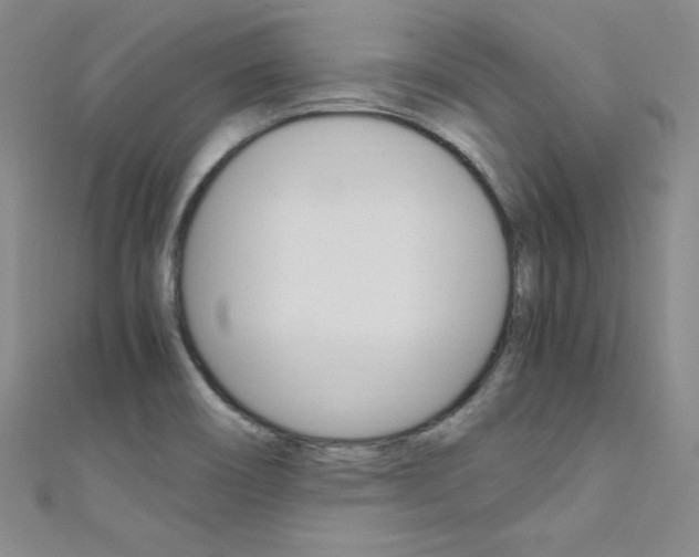X0000111491466200907141053