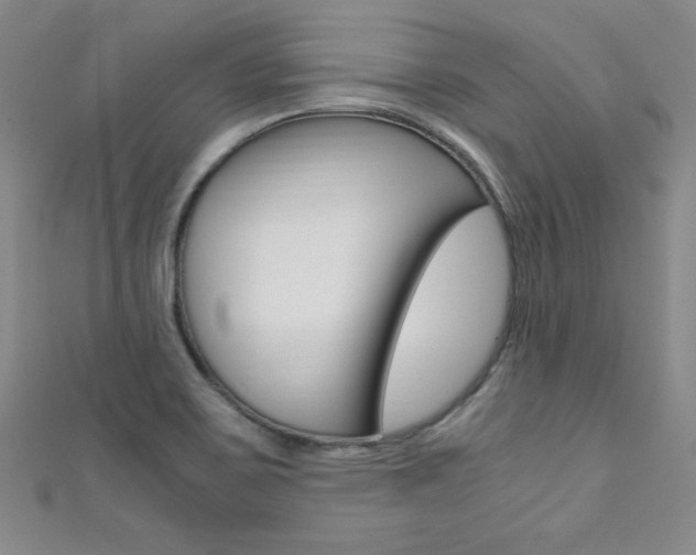 X0000111491467200907141053