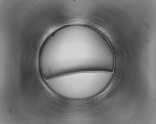 X0000111491469200907141053