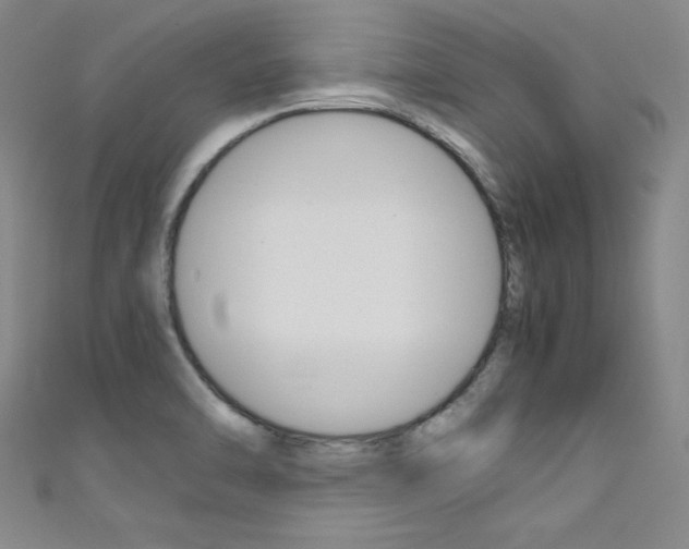 X0000111491470200907141053