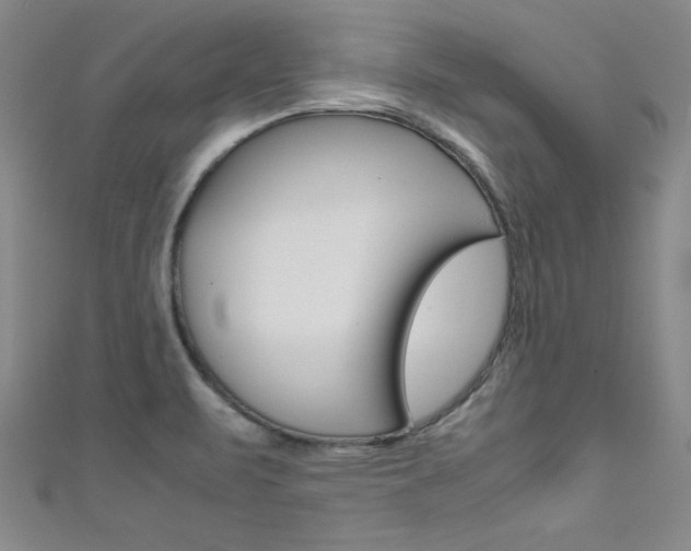X0000111491471200907141053