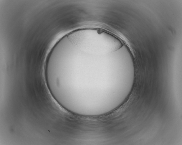 X0000111491472200907141053
