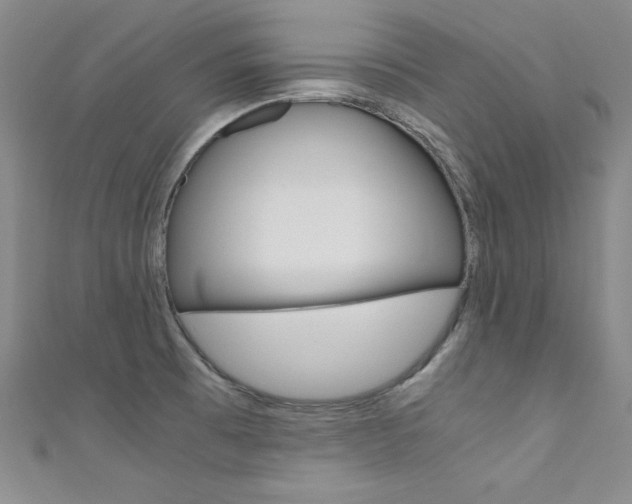 X0000111491473200907141053