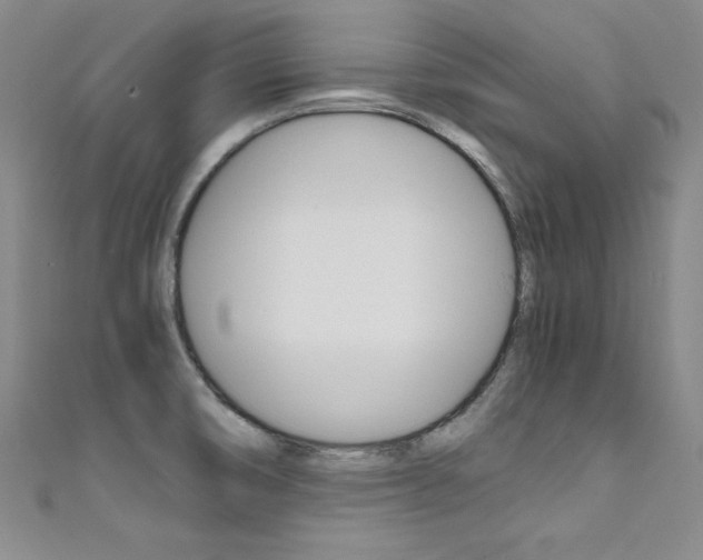 X0000111491474200907141053
