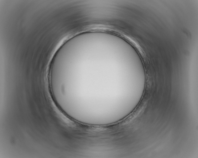 X0000111491475200907141053