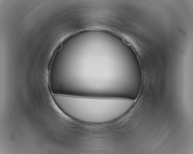 X0000111491476200907141053