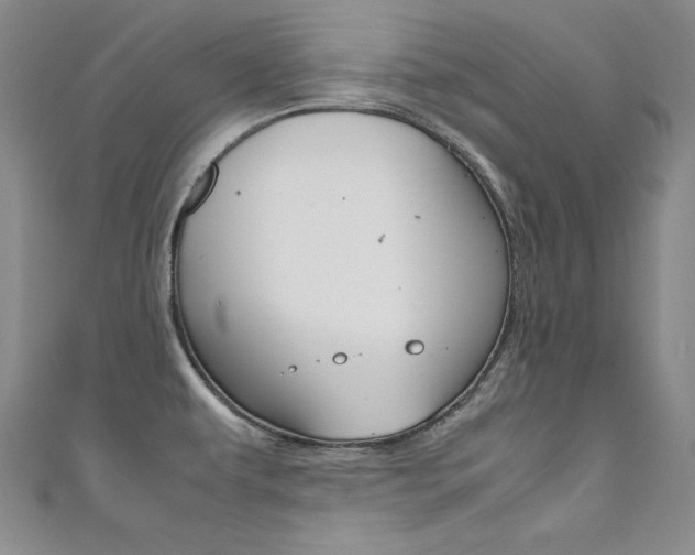 X0000111491479200907141053