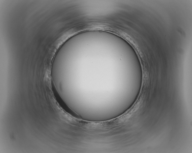 X0000111491481200907141053
