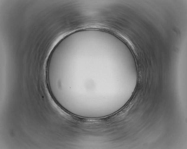 X0000111491483200907141053
